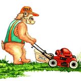 Brothers Bears Lawn Care