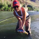 House sitting/Pet sitting in the Boise area
