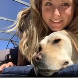 Melbourne Pet Supervisor Available For Work