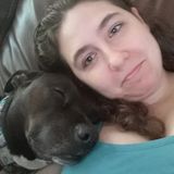 Looking to take care of your adorable pets!