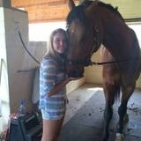 Experienced Vet Tech and Pre-Vet Student