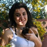Millbrae Guinea Pig Sitter