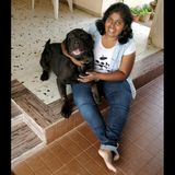 Seeking Thunder Bay Pet Groomer, Ontario Jobs