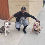 Carson Animal Lover Looking For Work