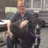 Licensed Vet Tech available for pet sitting, dog walking, and overnight care