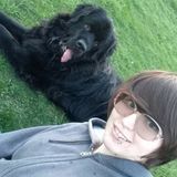 Pet Sitter