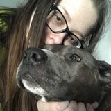 Im offering dog walking and pet sitting