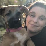 Ozark Dog lover! Intrested in work!