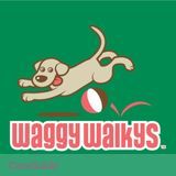 The Best Pet Sitting Company in the DC Metro Area - Waggy Walkys