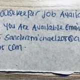 Careful House Cleaner Needed Immediately