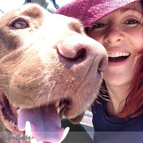 House Sitter Provider Michele E's Profile Picture