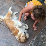 Experienced nanny with flexible scheduleDiscounts for single parentsKind, clean, energetic, and nurturing