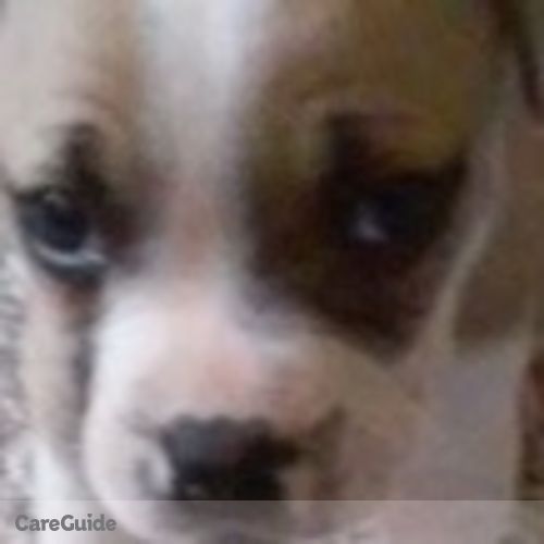 Pet Care Provider Nequia M's Profile Picture