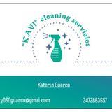 Professional House Cleaner Available Immediately