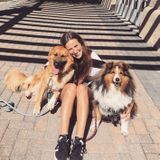 Dog Walker in Nelson, British Columbia