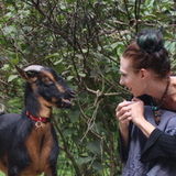 Experienced Westminster area dog walker, pet sitter, and animal lover