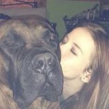 Capable Dog Sitting Professional in huntsville
