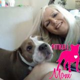 Veterinary Technician/Animal Lover