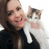 Drop in visits for cats in Cambridge, Kitchener or Waterloo