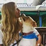 Searching for Wimberley Dog Sitter, Texas Jobs
