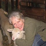 Dedicated House Sitter and animal loving Pet Sitter in Westminster, California