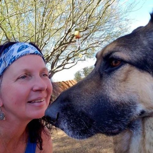 Pet Care Provider Pamela S's Profile Picture