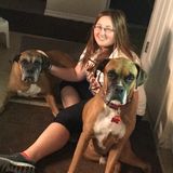 For Hire: Experienced Pet Sitter in Springhill, Florida