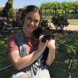 Oakland House Sitter Looking For Work in California