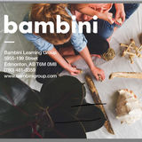 Are You A Holistic Minded Educator ? Join The Bambini Learning Group
