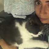 Available: Dog Walker, cat or dog petsitting at their own house and overnight care in Culver City, California