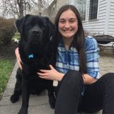 Hi! I am Makayla and I am looking to be a pet sitter.