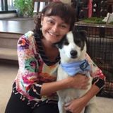 Loving and Reliable Pet Care Provider Available Immediately