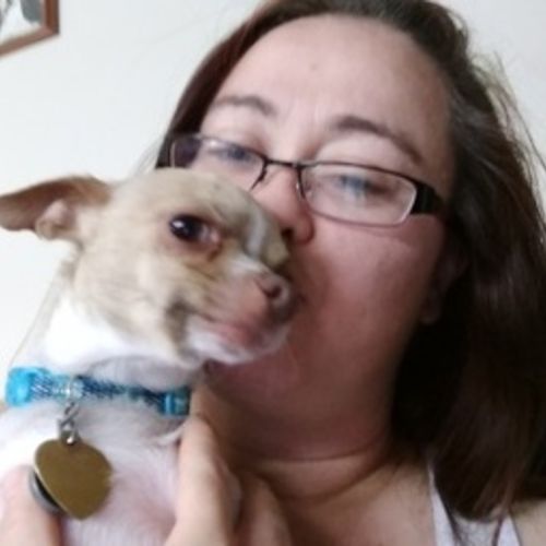 Pet Care Provider Gypsy H's Profile Picture