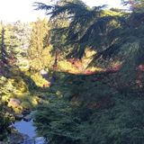 Available: Loving House Minder in Bellevue, Washington