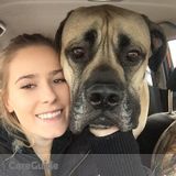 Looking for a Pet Care Job!