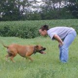 Wilber, Nebraska Dog Sitting Professional Job