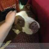 Oct 15-17 Pet Sitter Needed Raleigh/Garner