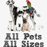 Dedicated Dog Walker & Cat Caregiver. I can care for just about any kind of pet