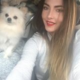 Reliable Petsitter