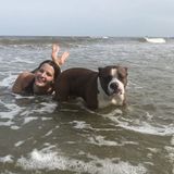 Houston Pet Sitter/Walker Searching for Being Hired in Texas