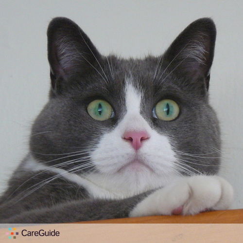 Pet Care Job Yvonne W's Profile Picture