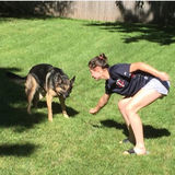 Experienced animal caregiver in Coralville