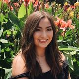 Huge Animal Lover Looking to Help Take Care of Pets!