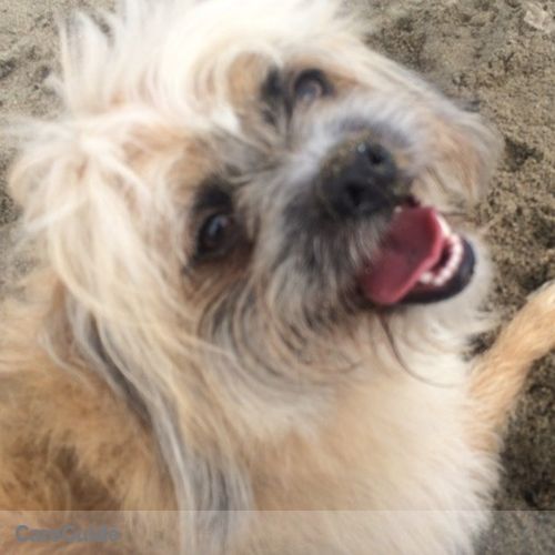 Pet Care Job Michelle Marie's Profile Picture