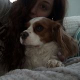 Dog Lover!
