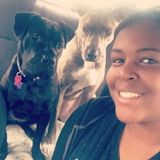 Passion for pets