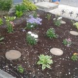 Ottawa House Sitting Provider Available anytime!