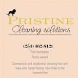 Passionate Housecleaner Available Immediately