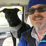 Seeking Enumclaw Petsitter Jobs