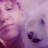Experienced and Loving Cat Dog, Bird, Rabbit Sitter/Caretaker/ Dog Walker interested in caring for you pets in your home!